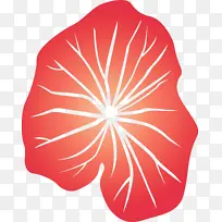 Ҷ�� �� ����-������