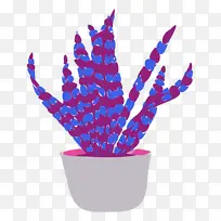 植物 紫色 花盆-空若网 植物 紫色 花盆-空若网