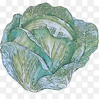 叶菜 叶子 春菜-空若网 叶菜 叶子 春菜-空若网