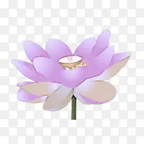 花 花瓣 薰衣草-空若网 花 花瓣 薰衣草-空若网