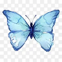 Ë®²Ê» ÑÕÁÏ ÊªÄ«-¿ÕÈôÍø Ë®²Ê» ÑÕÁÏ ÊªÄ«-¿ÕÈôÍø