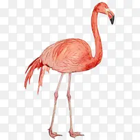 ˮ�ʻ� ���� ʪī-������