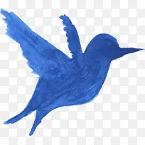 鸟类 喙 米-空若网 鸟类 喙 米-空若网