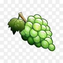 葡萄 蔬菜 葡萄藤-空若网 葡萄 蔬菜 葡萄藤-空若网