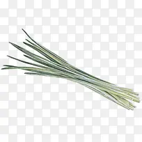 葱 大葱 草-空若网 葱 大葱 草-空若网