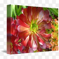 ����ֲ�������滭��԰-���ʱ߽�-������