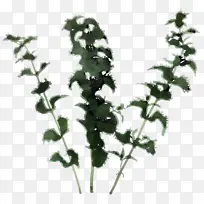 ����Ь Ҷ�� ��ɫ-������