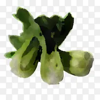 叶菜-空若网 叶菜-空若网