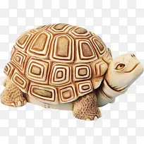 �ڹ� ��� ����ѧ-������