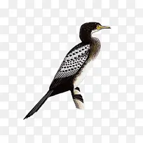 ���� � ��-������