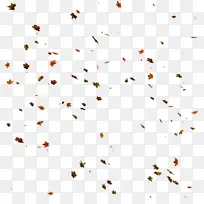 ���� �� ��-������