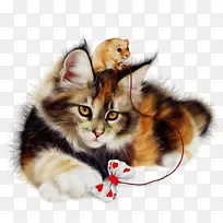 Ë®²Ê» ÓÍÆá ʪīˮ-¿ÕÈôÍø Ë®²Ê» ÓÍÆá ʪīˮ-¿ÕÈôÍø