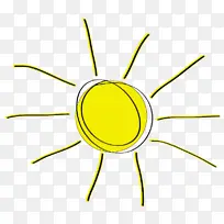 ֲ�ﾥ ���� ��ɫ-������