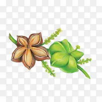 花 花瓣 植物-空若网 花 花瓣 植物-空若网