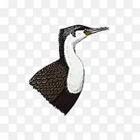 �� � ˮ��-������