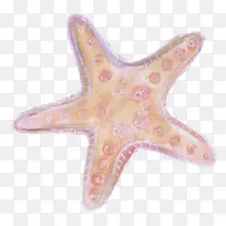 ���� ���� ����ѧ-������