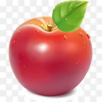 番茄 天然食品 超级食品-空若网 番茄 天然食品 超级食品-空若网