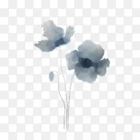 �� ���� ֲ��-������