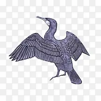 ���� � ��-������