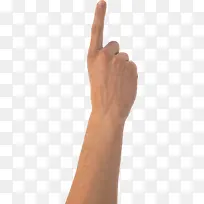 关节 手模型 手-空若网 关节 手模型 手-空若网