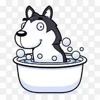 马 狗 鼻子-空若网 马 狗 鼻子-空若网