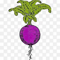 甜菜根 蔬菜 萝卜-空若网 甜菜根 蔬菜 萝卜-空若网