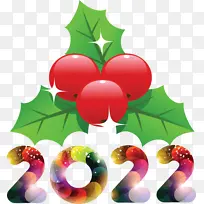 ��ȻʳƷ ����ʳƷ ʥ��װ��Ʒ-������