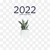 植物 花盆 仪表-空若网 植物 花盆 仪表-空若网