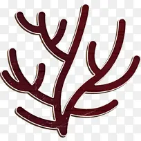 ɺ��ͼ�� ֲ�� ����ѧ-������