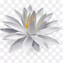 ���������ٺ�-ˮ�ٺ�-������