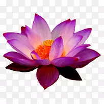 �����٤�ʺϲ廨����-˯��-������