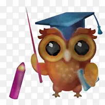 猫头鹰 喙 鸟-空若网 猫头鹰 喙 鸟-空若网