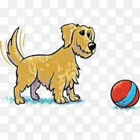 狗 小狗 鼻子-空若网 狗 小狗 鼻子-空若网