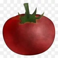 番茄 植物 苹果-空若网 番茄 植物 苹果-空若网