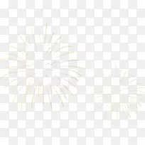 白色对称树圆图案-烟花-空若网 白色对称树圆图案-烟花-空若网