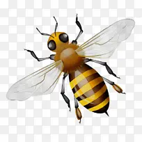 水彩画 油漆 湿墨水-空若网 水彩画 油漆 湿墨水-空若网