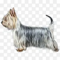 ˮ�� ���� ʪīˮ-������