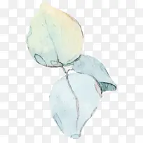 ˮ�� ���� ʪīˮ-������