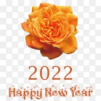 电脑 花园玫瑰 数据-空若网 电脑 花园玫瑰 数据-空若网