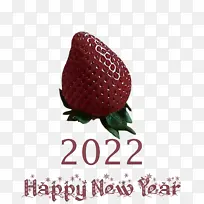 ��ݮ ��ȻʳƷ ����ʳƷ-������