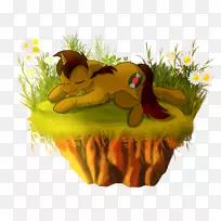 脊椎动物两栖昆虫卡通-浮岛-空若网 脊椎动物两栖昆虫卡通-浮岛-空若网