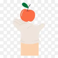 ��ͨ ֲ�� ˮ��-������