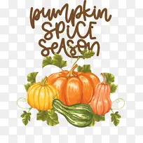秋天 南瓜 蔬菜-空若网 秋天 南瓜 蔬菜-空若网