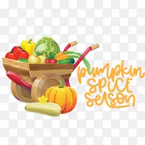 ���� �Ϲ� �߲�-������