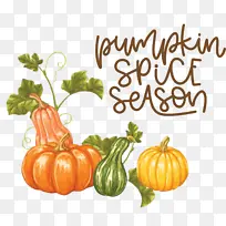 ÇïÌì ÄÏ¹Ï Êß²Ë-¿ÕÈôÍø ÇïÌì ÄÏ¹Ï Êß²Ë-¿ÕÈôÍø