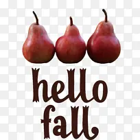 秋天 天然食物 当地食物-空若网 秋天 天然食物 当地食物-空若网