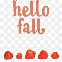 ���� ��ȻʳƷ ����ʳƷ-������