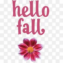 秋天 花 动画-空若网 秋天 花 动画-空若网