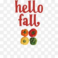 ���� �߲� ����ʳ��-������