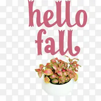 秋天 米 水果-空若网 秋天 米 水果-空若网